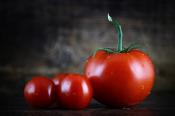 Brwinów: Zwycięski pomidor